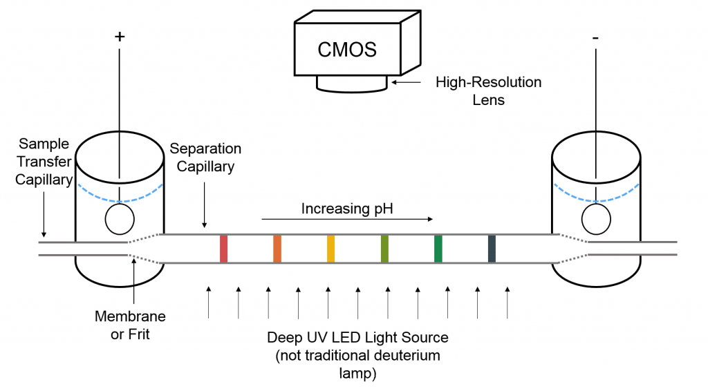 iCIEF Instrument